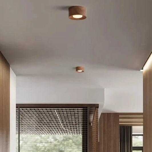 Luminaire Plafonnier | Dicise