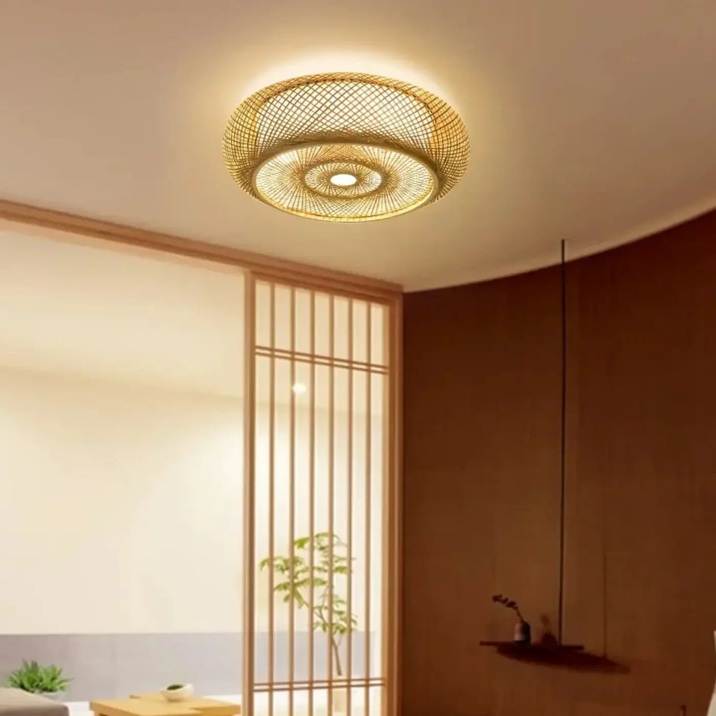 Luminaire Plafonnier | Vacila