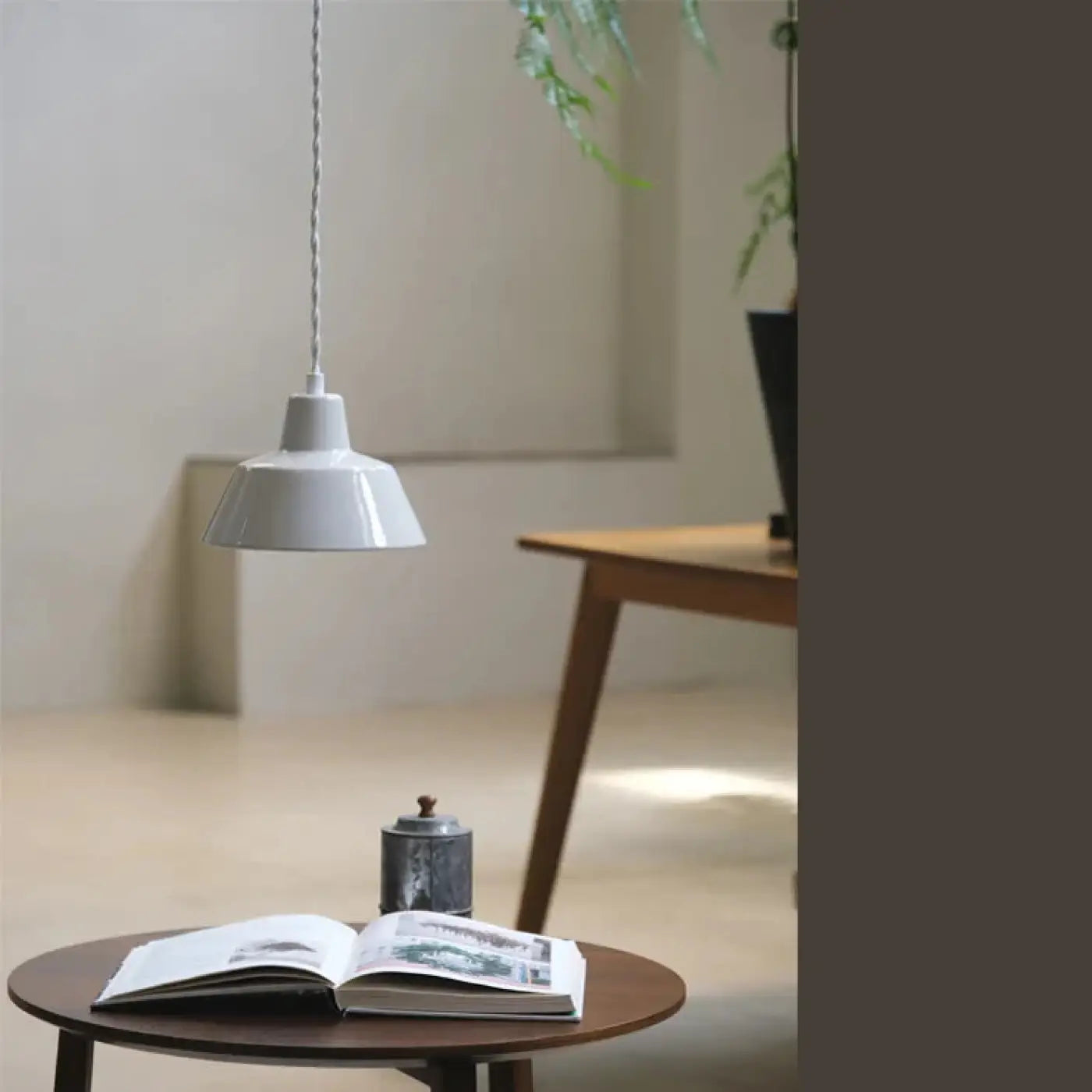 Suspension Luminaire | Haloolia