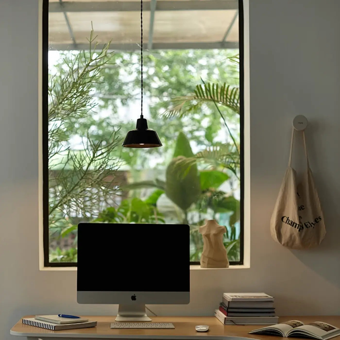 Suspension Luminaire | Haloolia